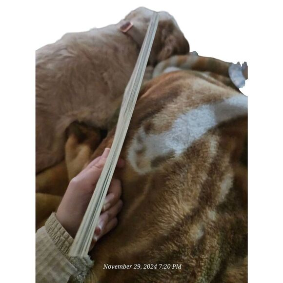 Know your Maltese by the pet library LTD - Picture 2 of 3